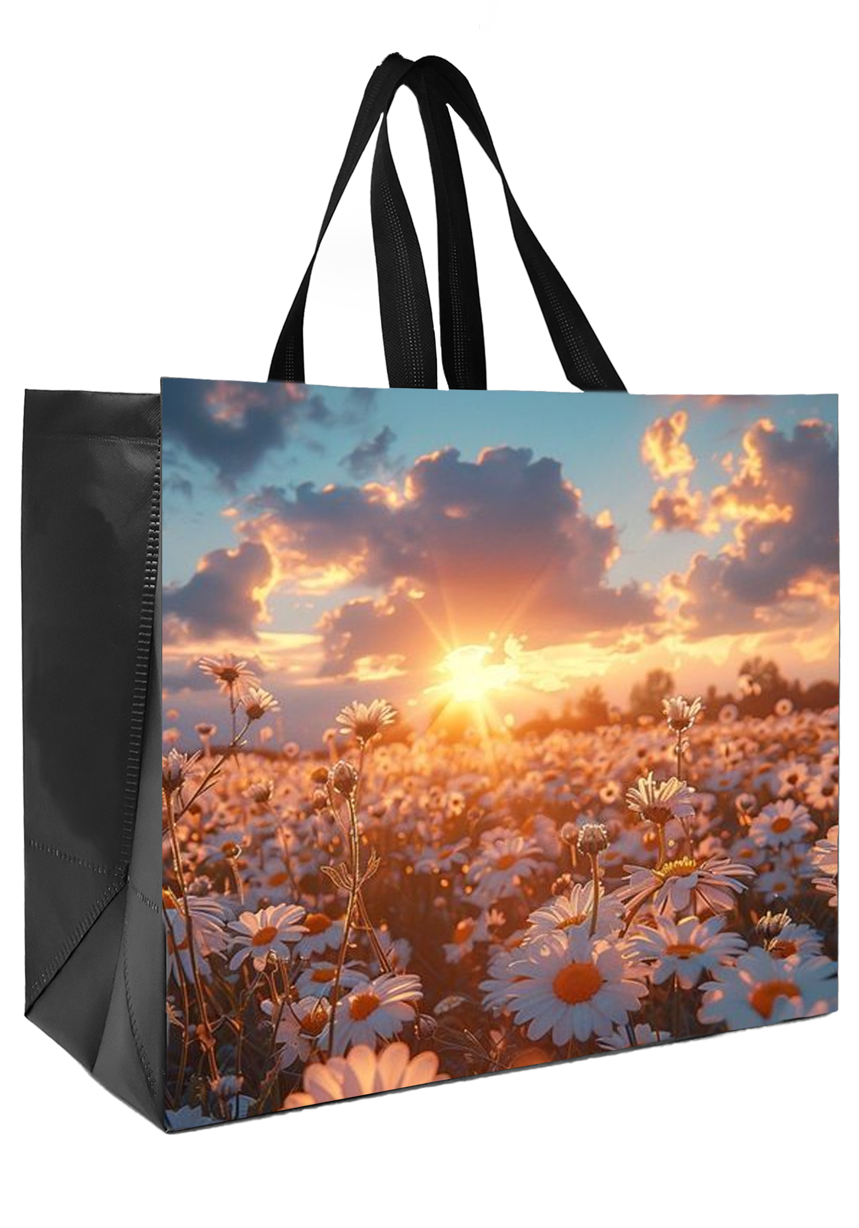 LAM03 - Assorted Design Reusable Laminated Shopping Bag | 110GSM, 36L