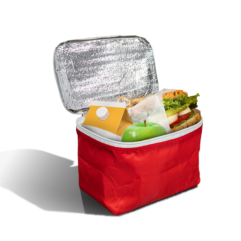 PX23 - Small Reusable Insulated Cooler Bag | Flat-Pack, 4kg Capacity