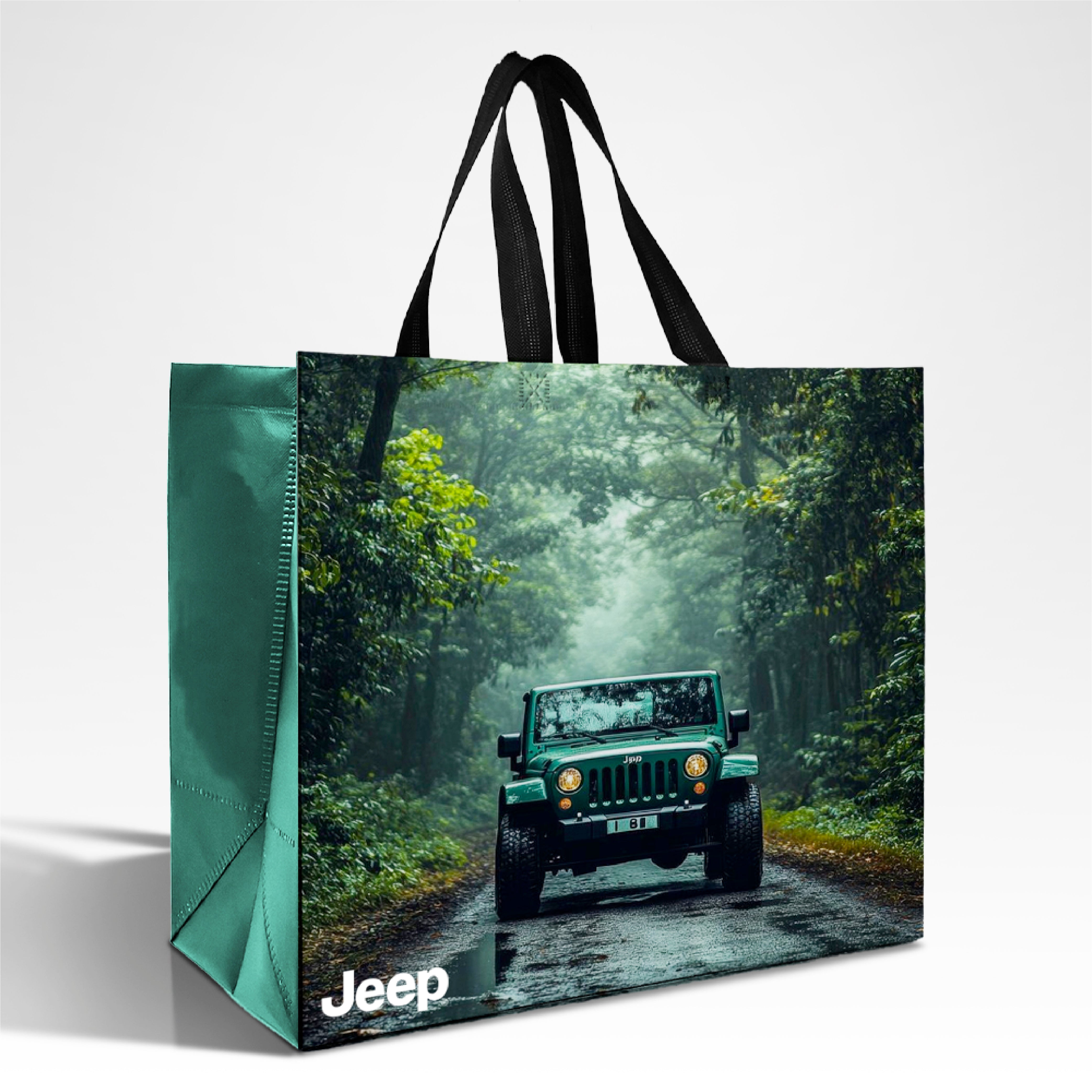 LAM01 - Multi Design Reusable Laminated Shopping Bag | 110GSM, 36L