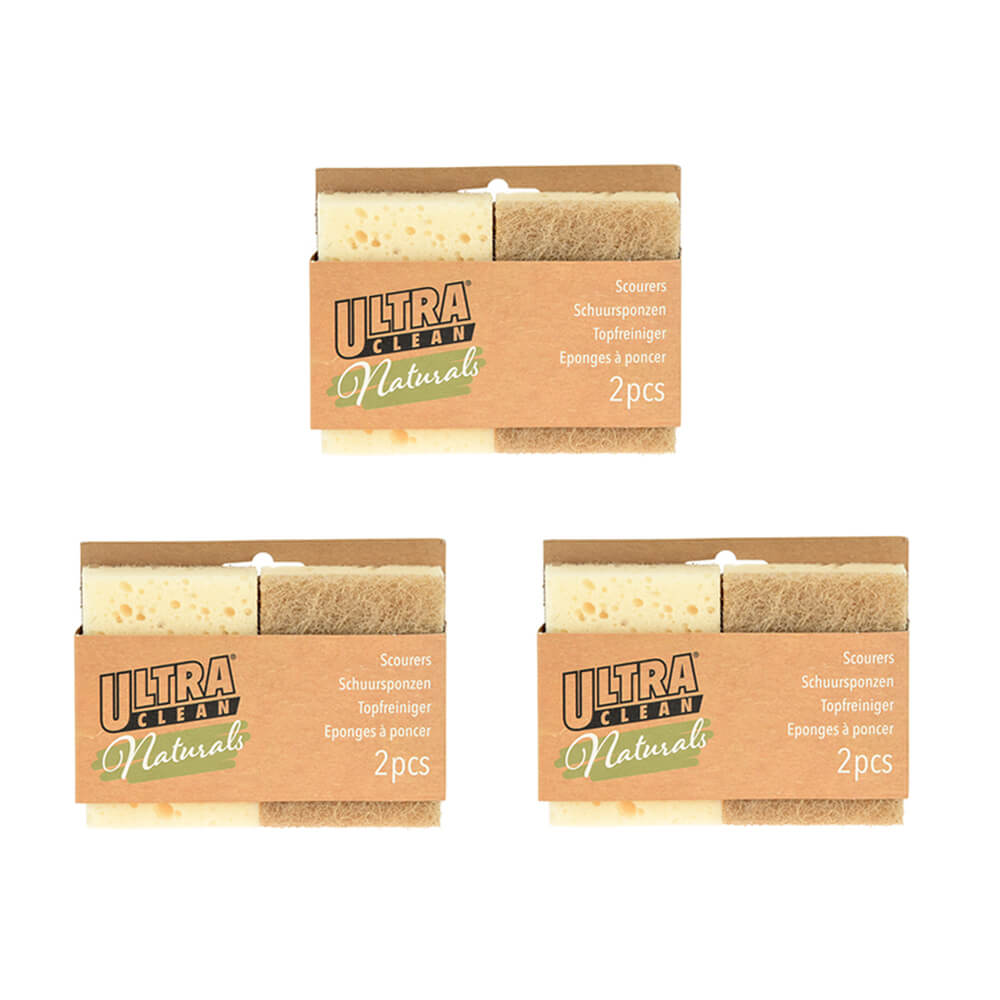 Eco-Friendly Scouring Sponges - Set of 3