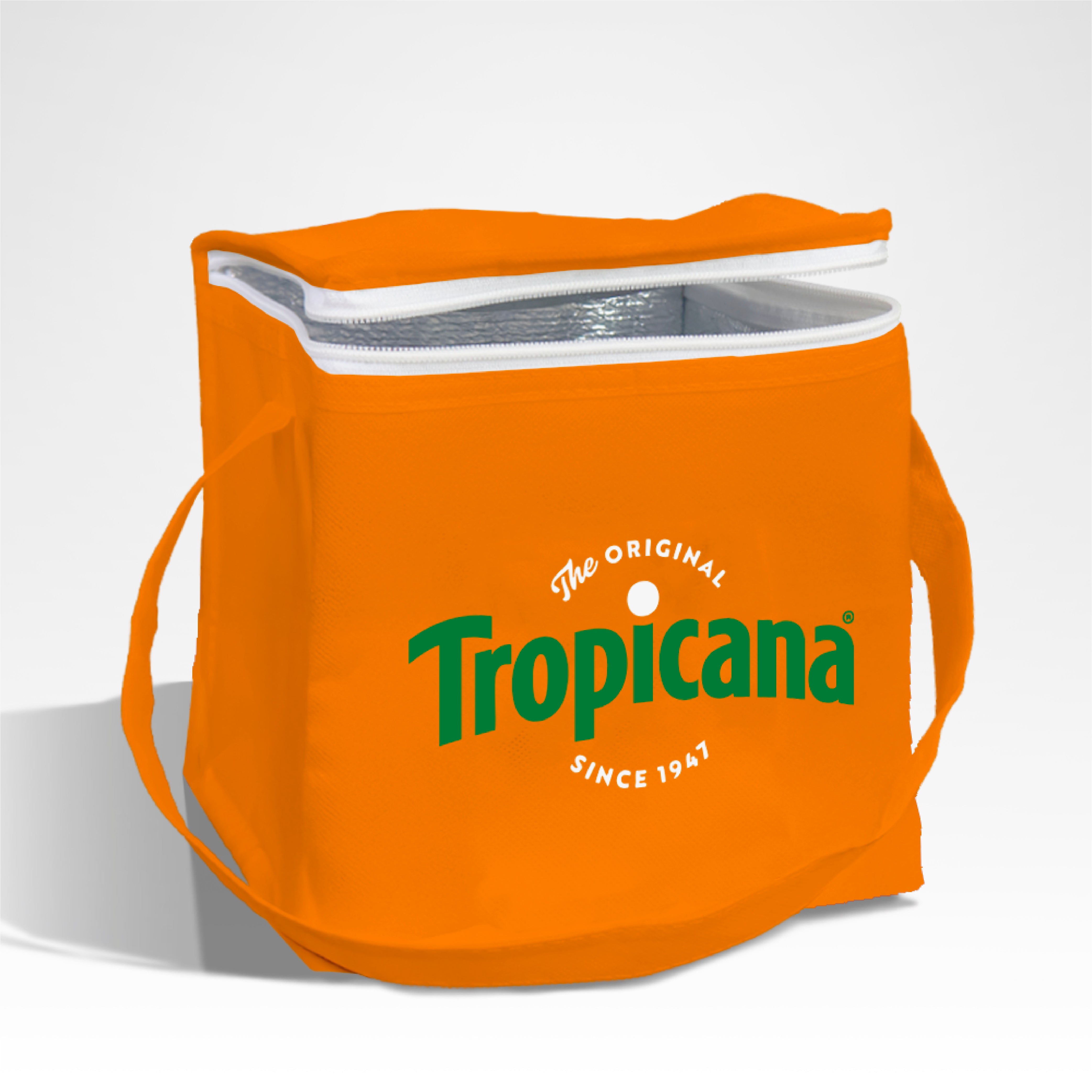 PX24 - Small Reusable Non-Woven Insulated Cooler Bag | 80GSM, 13L