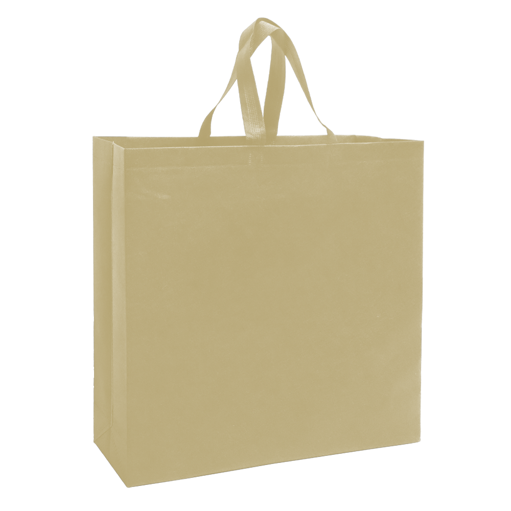 SHOP39 - Medium Reusable Non-Woven Shopping Bag | 70GSM, 18L