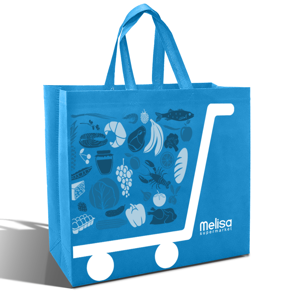 SHOP39 - Medium Reusable Non-Woven Shopping Bag | 70GSM, 18L