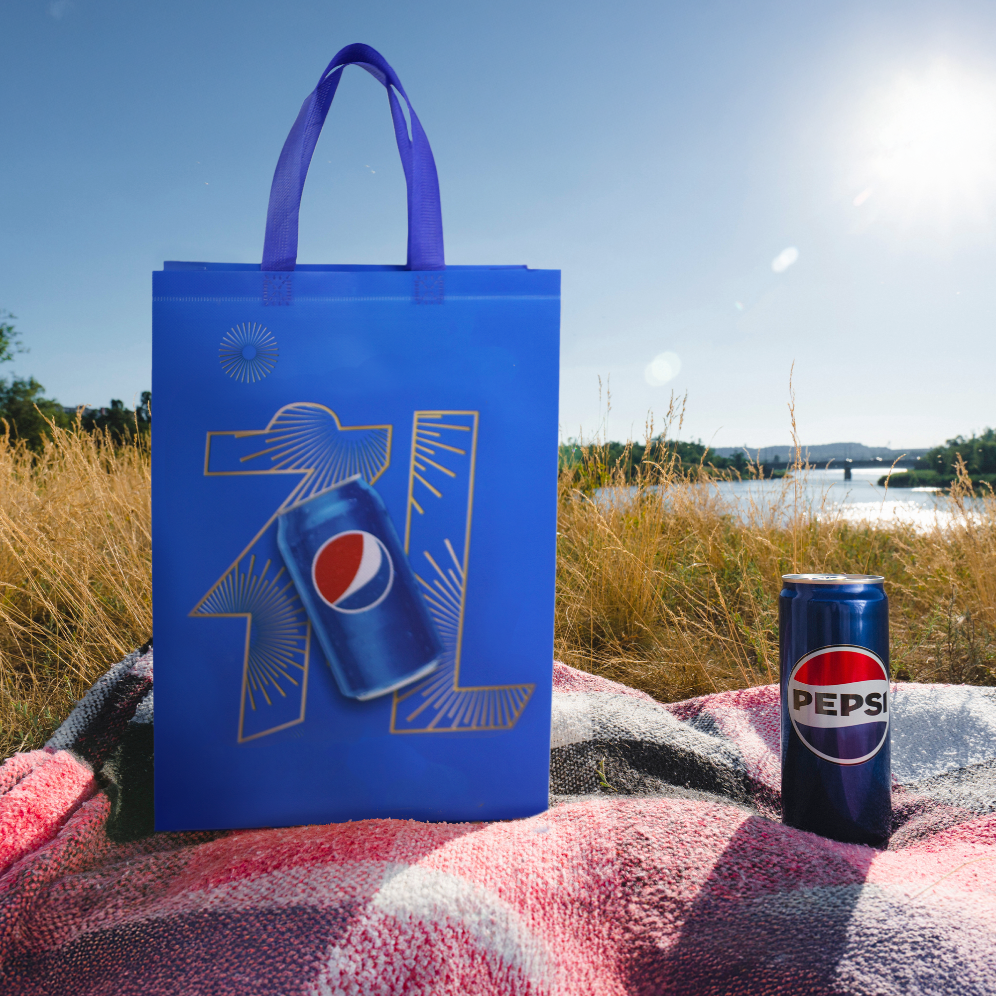 TA-B29 - Reusable Laminated Take Away Bag | 70GSM, 16L