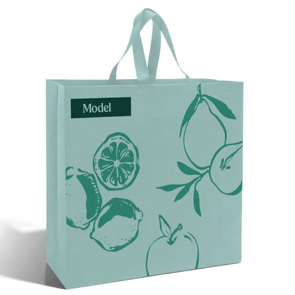 SHOP48 - XL Reusable Non-Woven Shopping Bag | 70GSM 30L Teal Non-Woven Bags