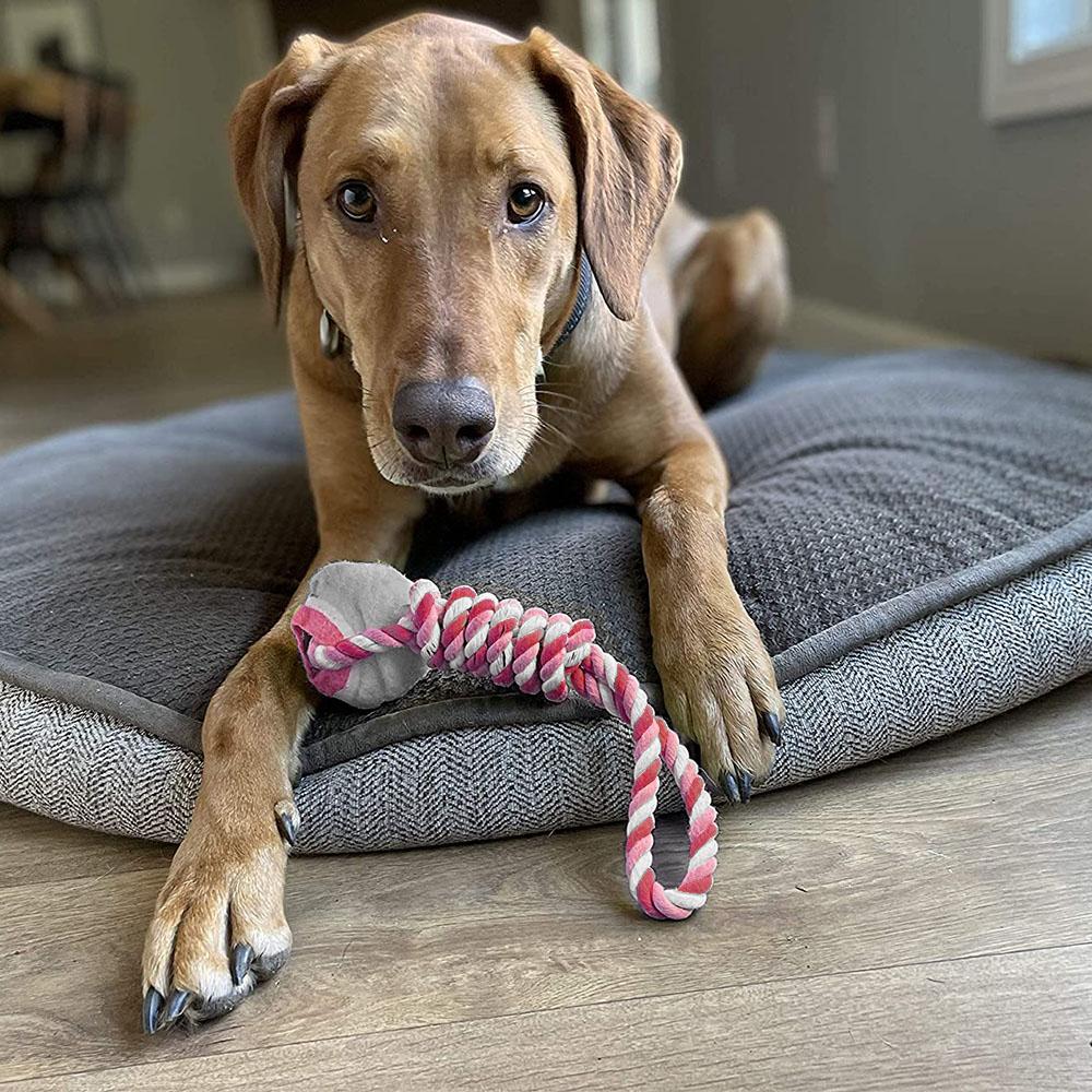 Dog Toy Rope with Handle & Tennis Ball - 32cm