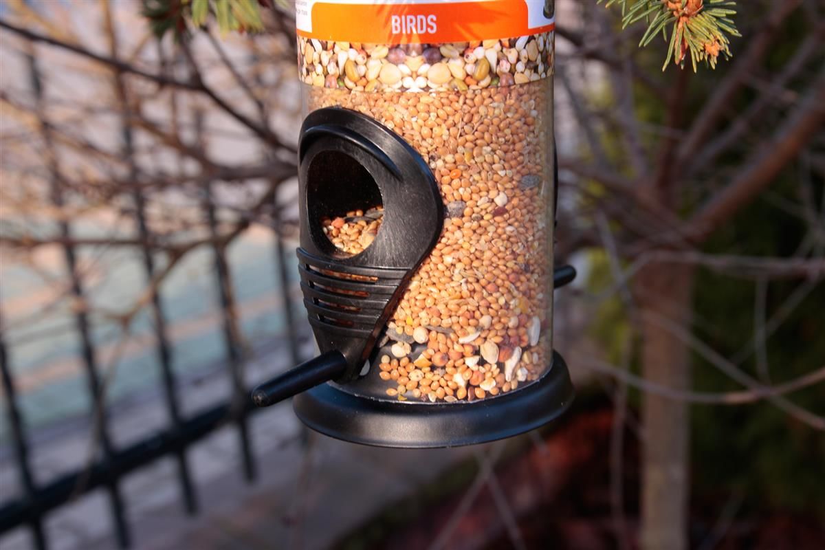 Bird Feeder with Hanging Bracket