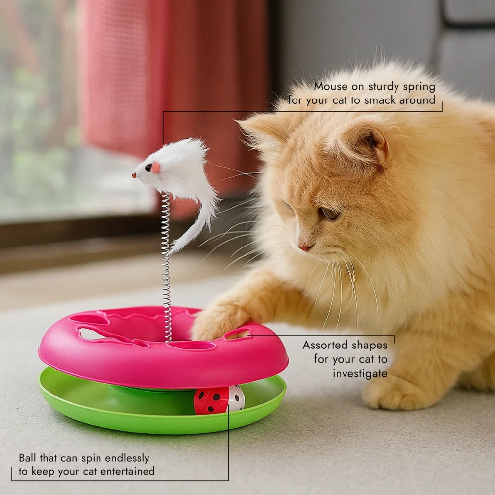 Cat Toy Chase Game with Ball and Mouse on Spring