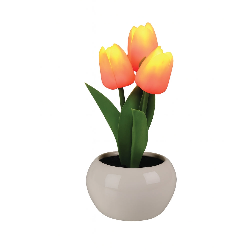 LED Artificial Tulip Pot Plant Light – Decorative Home Accent - 3 Colours