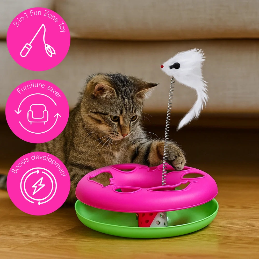 Cat Toy Chase Game with Ball and Mouse on Spring