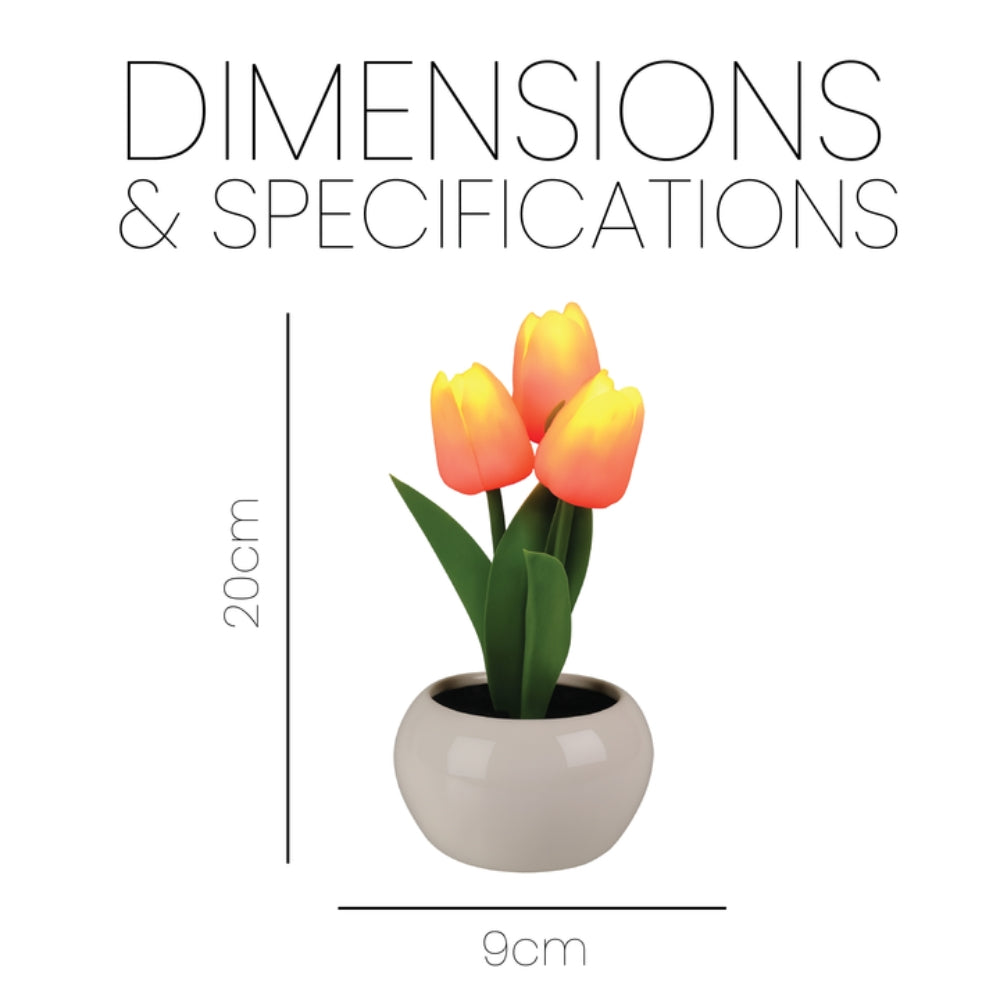 LED Artificial Tulip Pot Plant Light – Decorative Home Accent - 3 Colours