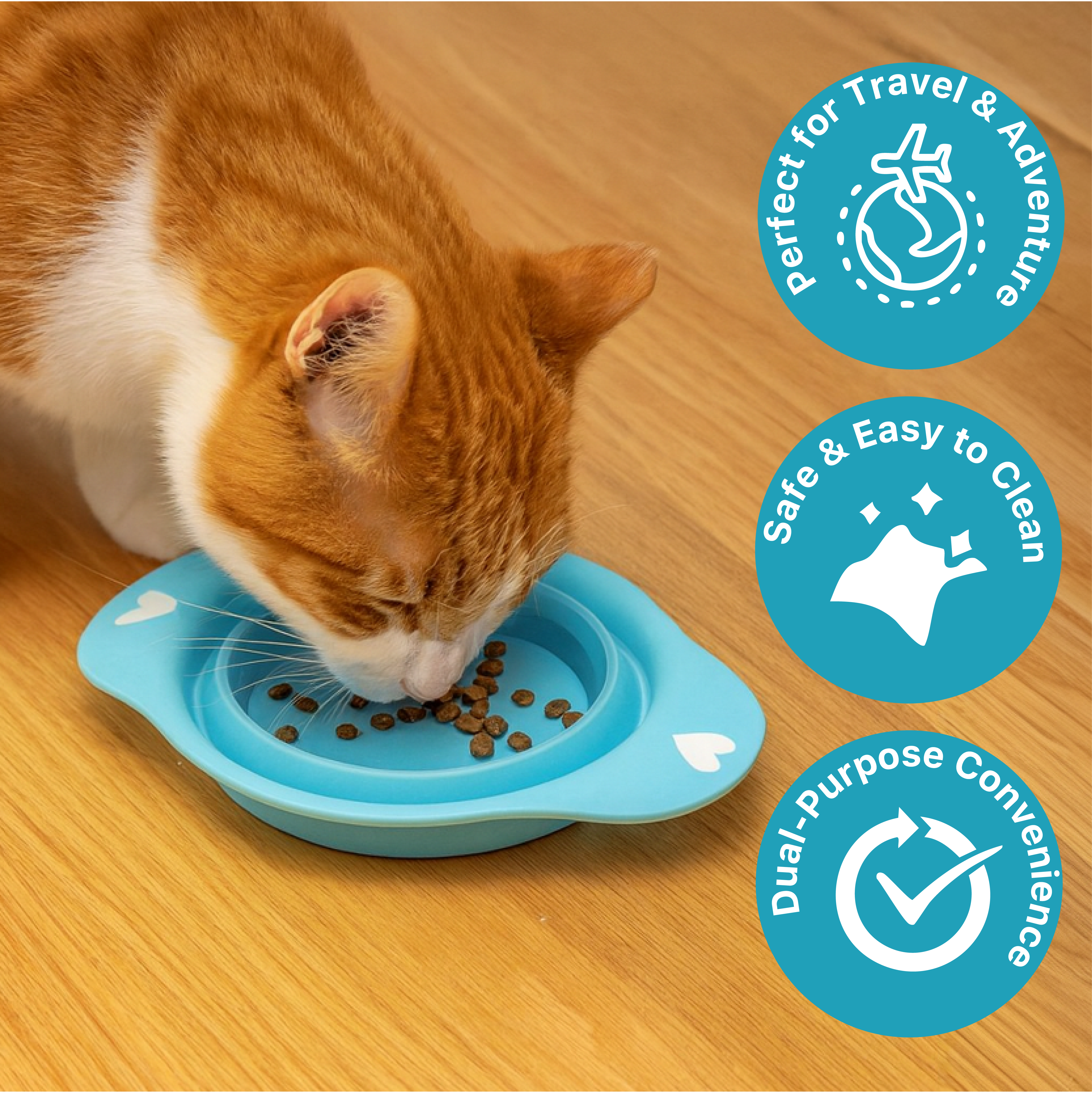 Pet Bowl - Silicone - Flatpack Design
