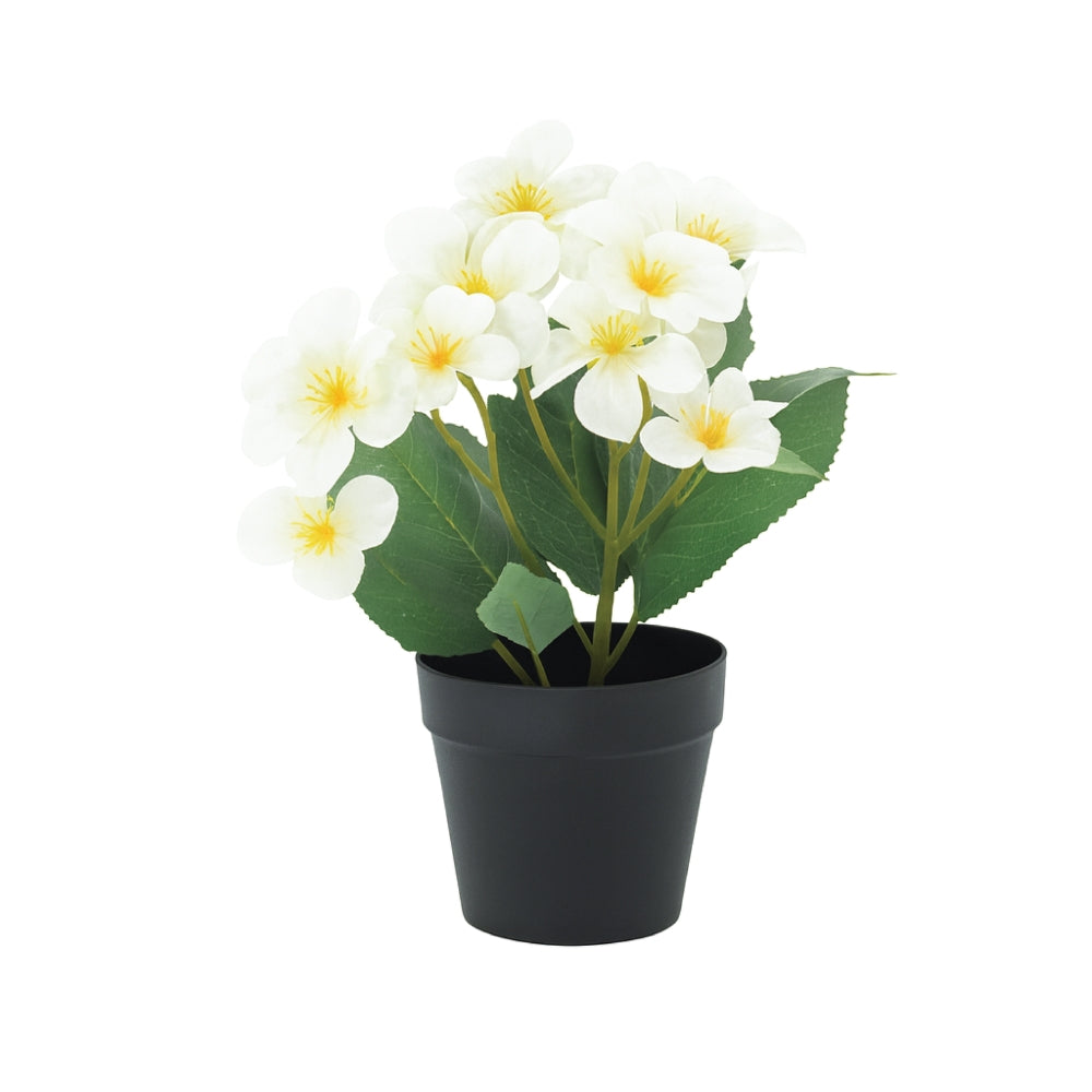 Small Artificial Plant Potted Flowers in Black Pot – 4 Colours