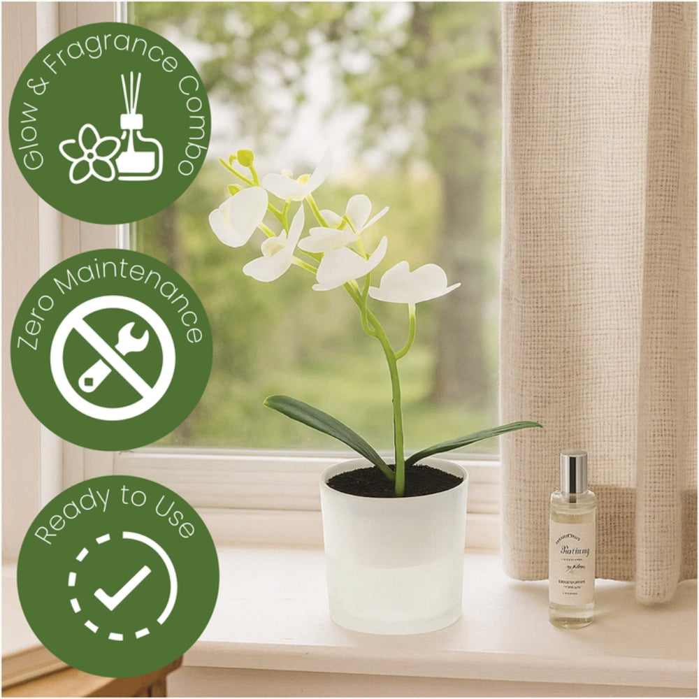 Artificial Plant Orchid in Pot with 30ml Aroma Spray – 2 Colours