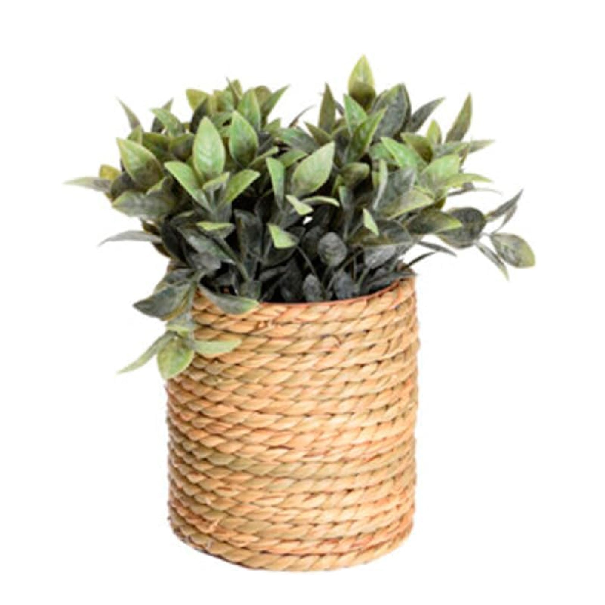 Artificial Plant in Seagrass Pot – 23cm Tall, 4 Assorted Designs