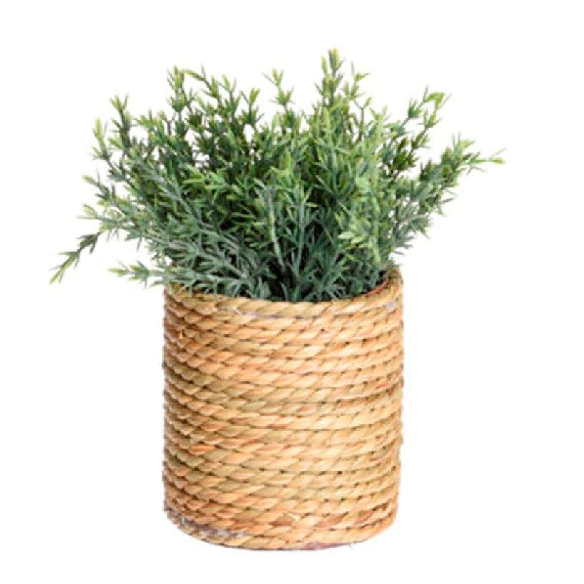 Artificial Plant in Seagrass Pot – 23cm Tall, 4 Assorted Designs