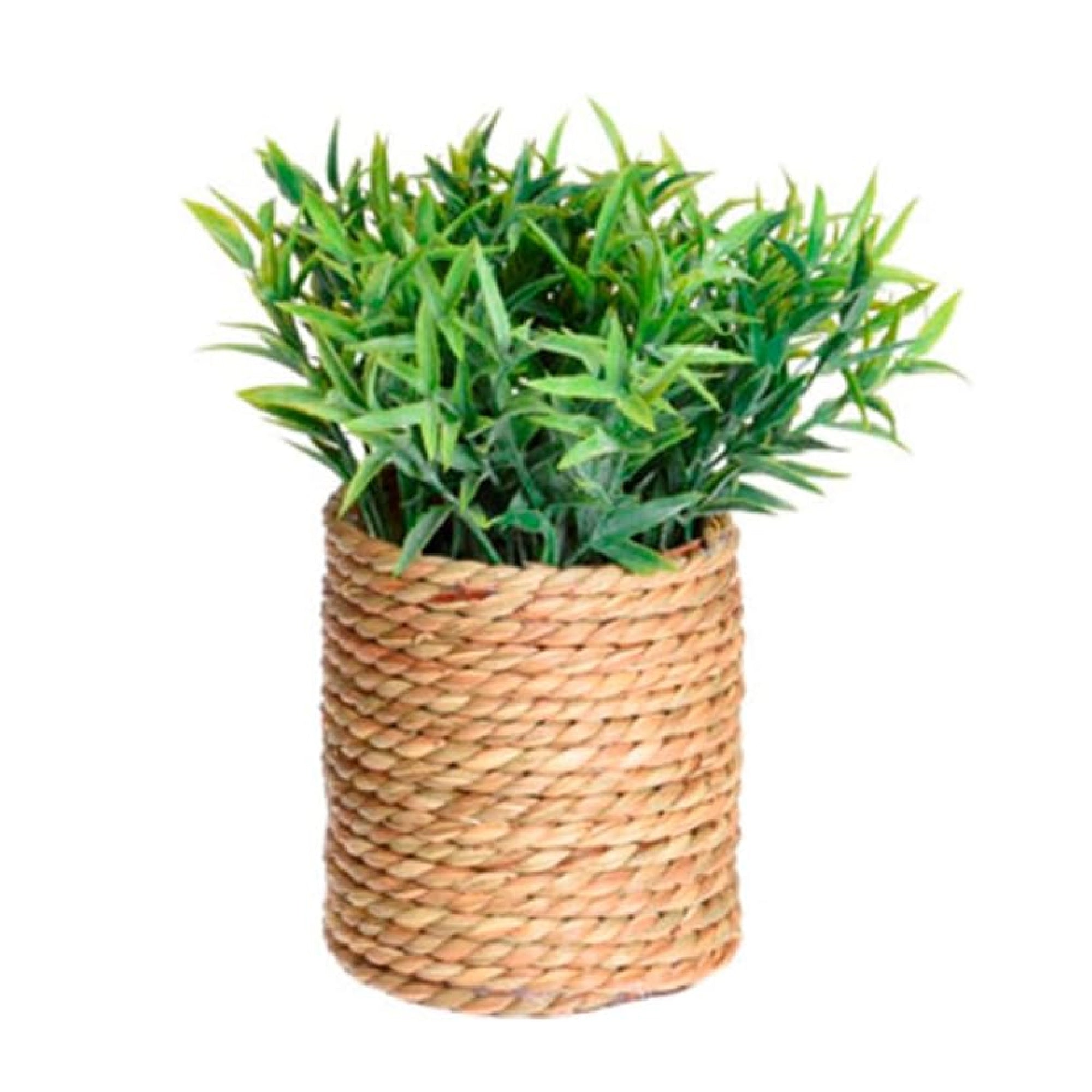 Artificial Plant in Seagrass Pot – 23cm Tall, 4 Assorted Designs