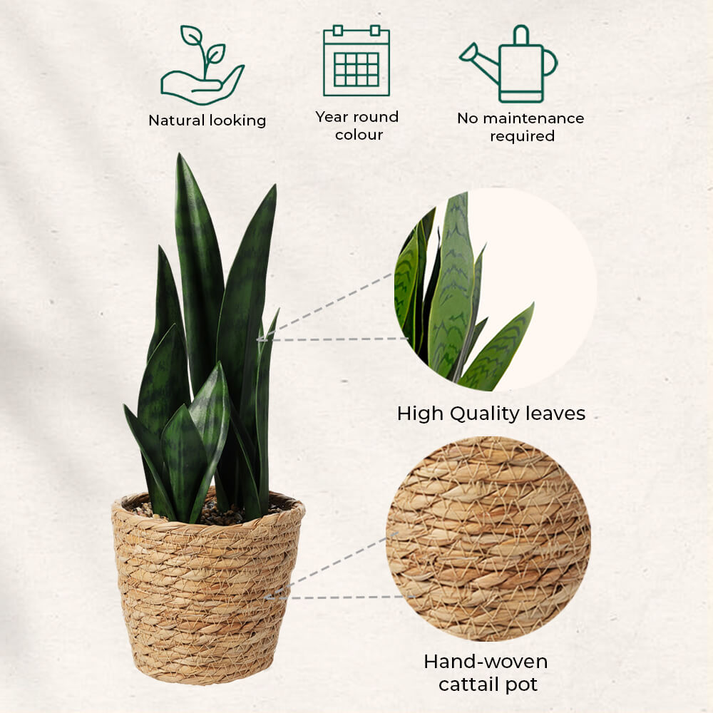 Artificial Plant in Cattail Pot - 38cm