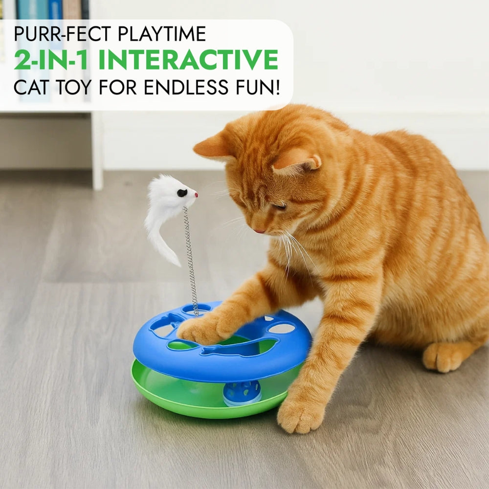 Cat Toy Chase Game with Ball and Mouse on Spring