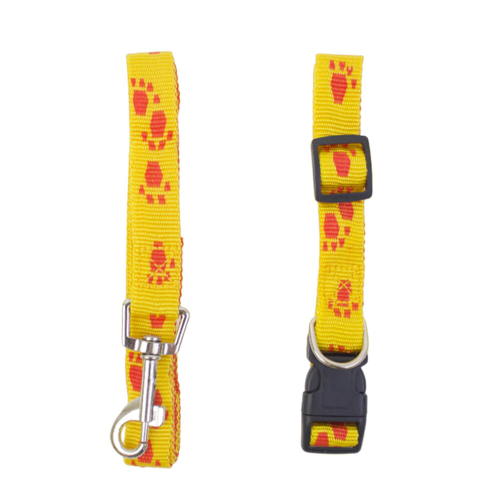 Dog Collar and Leash