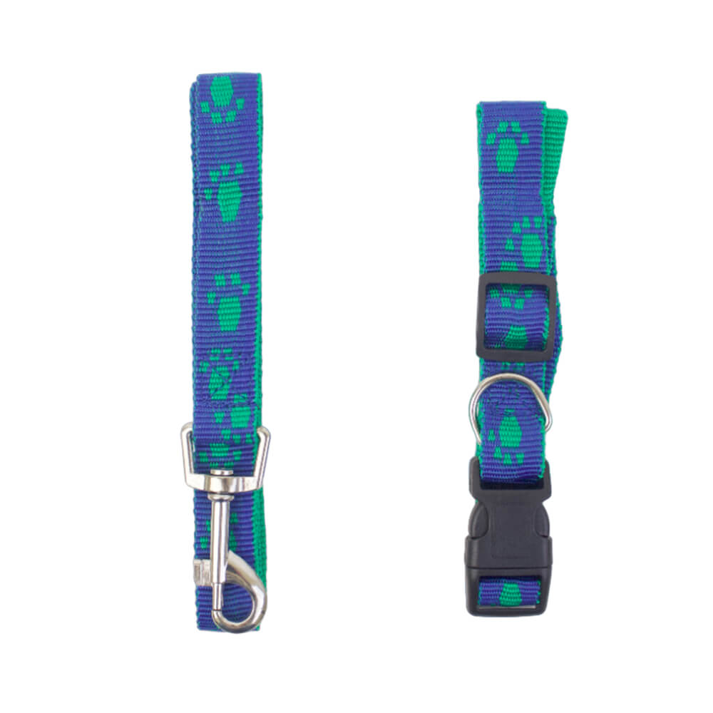 Dog Collar and Leash