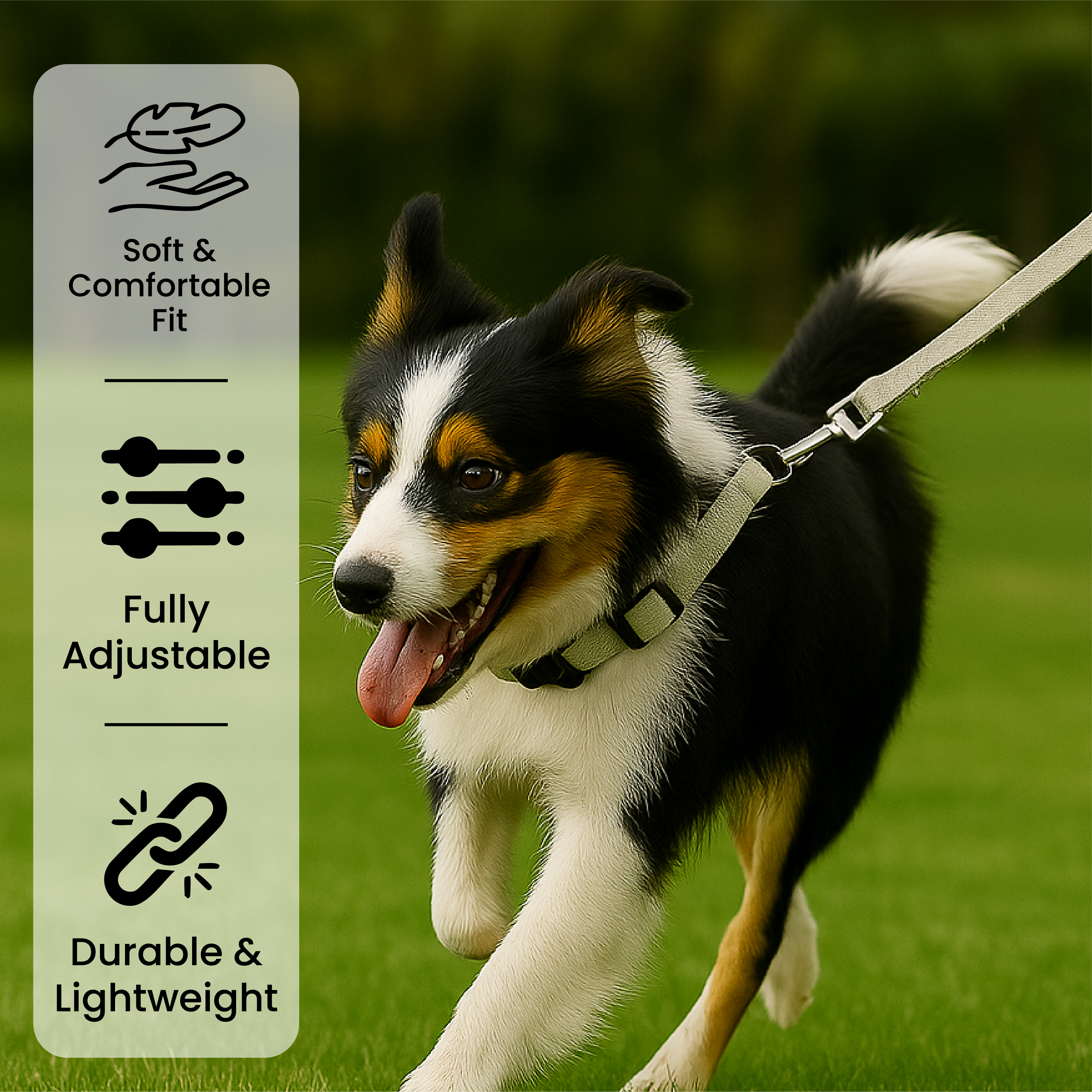 Adjustable Dog Collar with Leash Clip - Small to Medium Size
