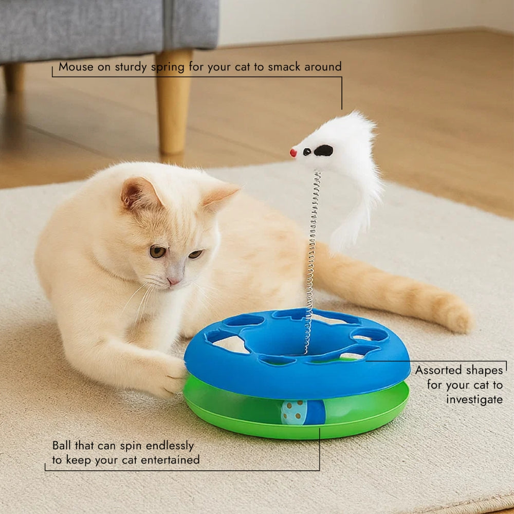 Cat Toy Chase Game with Ball and Mouse on Spring