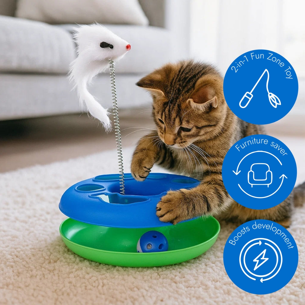 Cat Toy Chase Game with Ball and Mouse on Spring