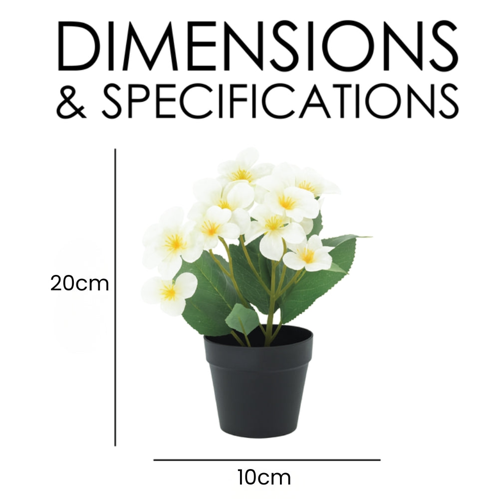 Small Artificial Plant Potted Flowers in Black Pot – 4 Colours