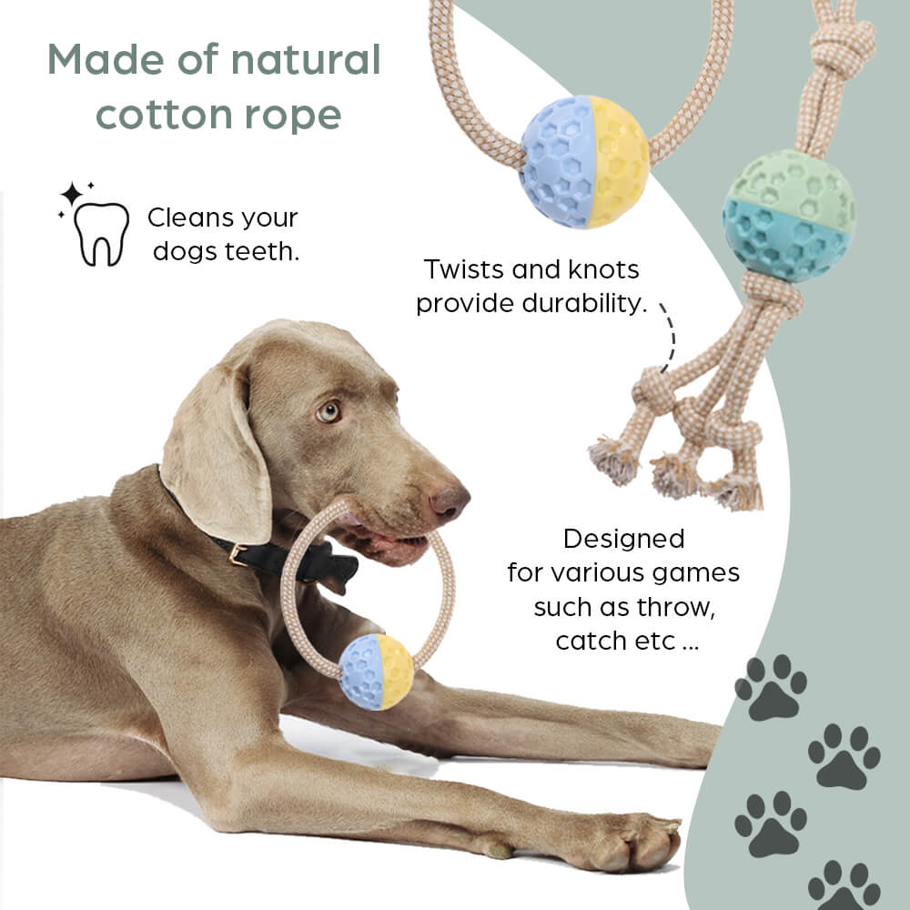 Eco-Friendly Dog Toy with Ball