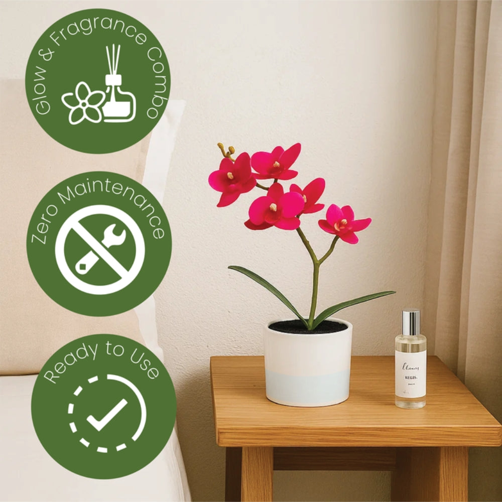 Artificial Plant Orchid in Pot with 30ml Aroma Spray – 2 Colours