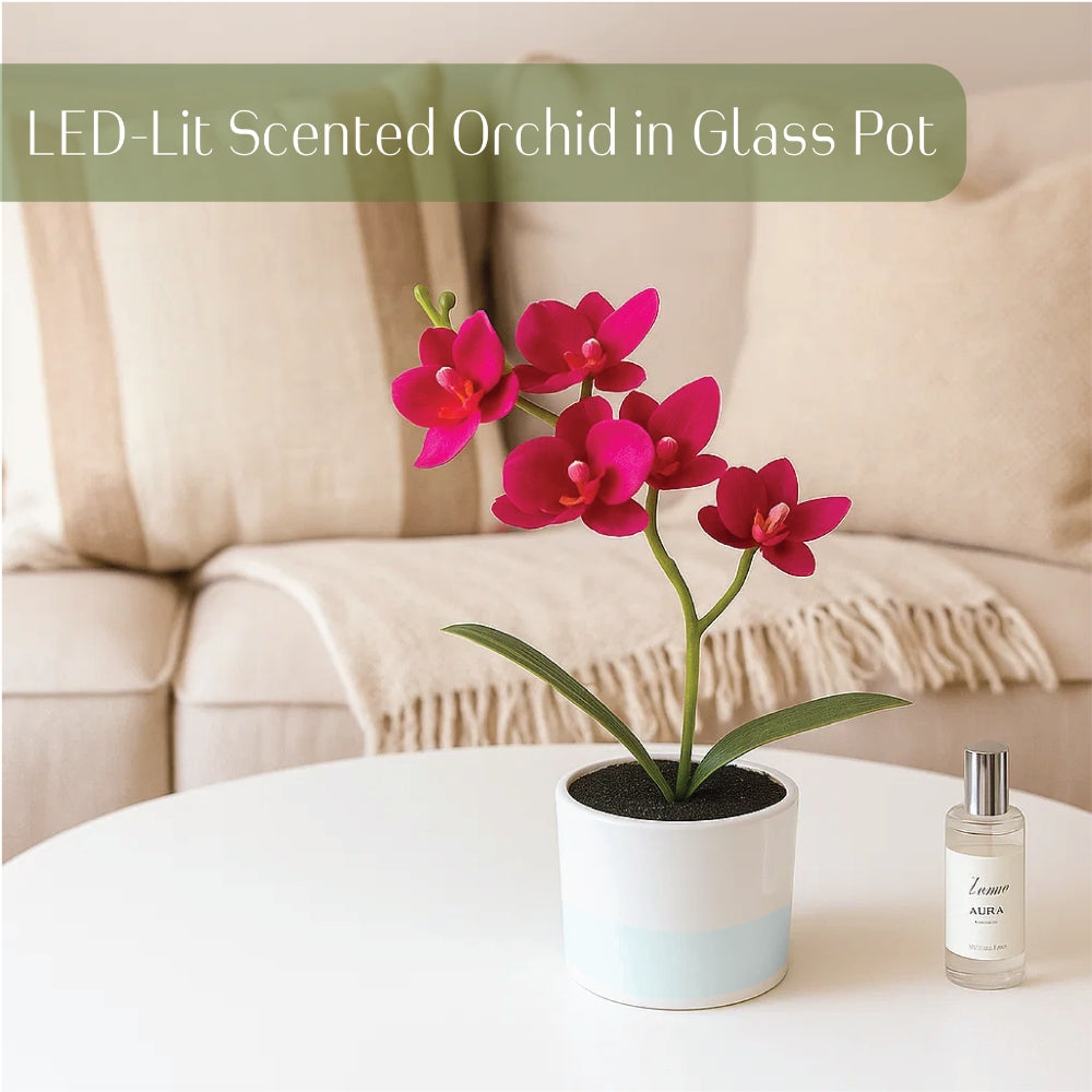 Artificial Plant Orchid in Pot with 30ml Aroma Spray – 2 Colours