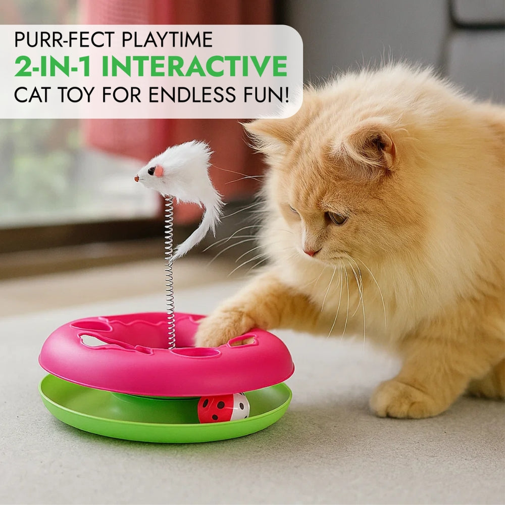 Cat Toy Chase Game with Ball and Mouse on Spring