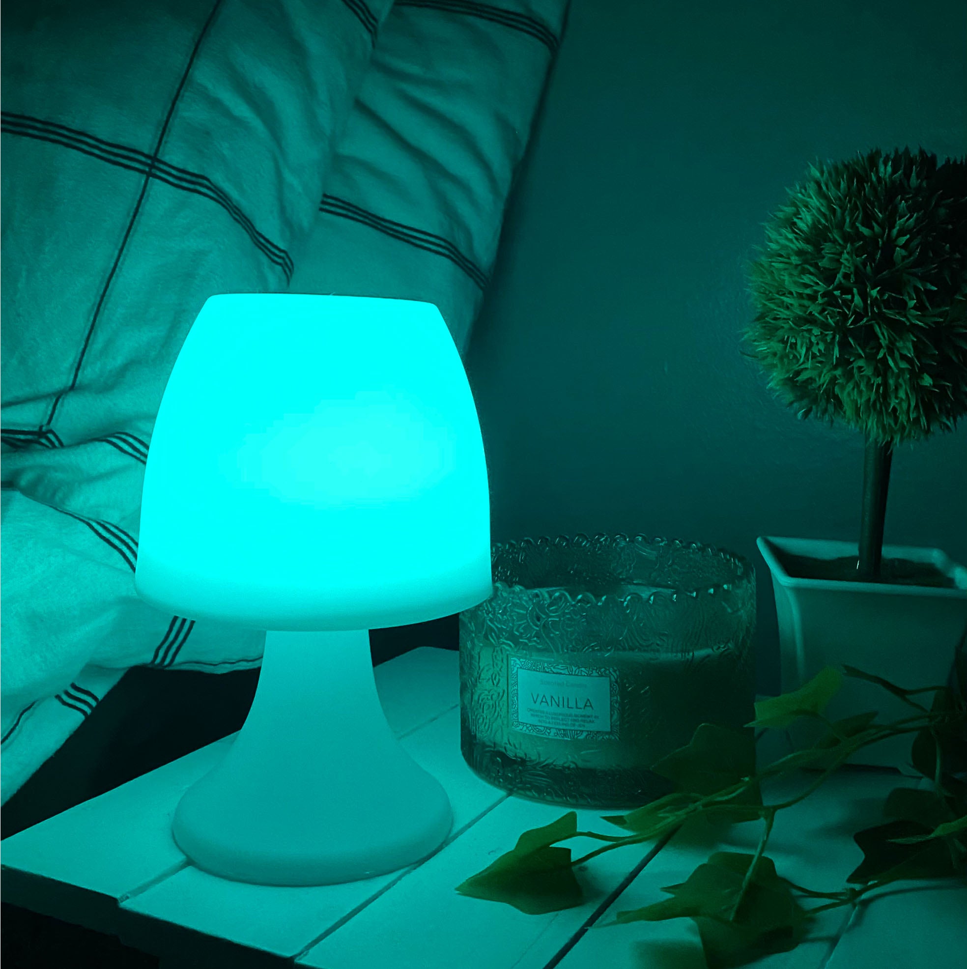 Vibrant LED Table Lamp