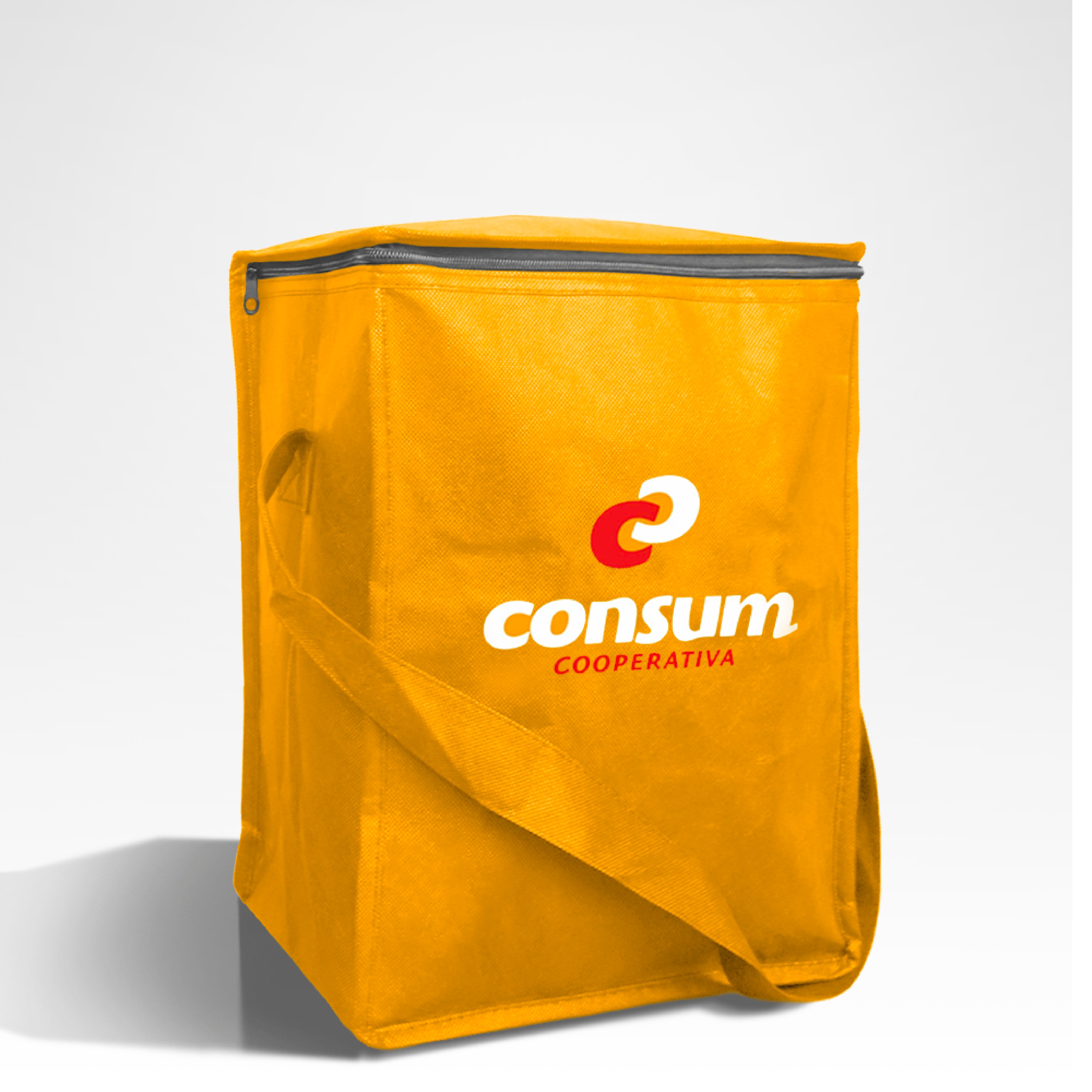 KS6039 - Reusable Non-Woven Insulated Cooler Bag | 70GSM, 16L