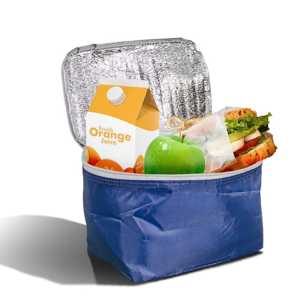 PX23 - Small Reusable Insulated Cooler Bag | Flat-Pack, 4kg Capacity