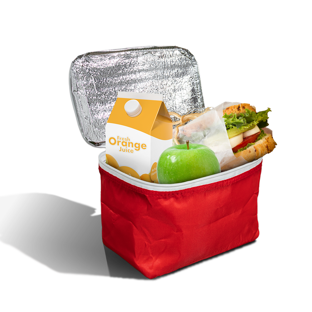 PX23 - Small Reusable Insulated Cooler Bag | Flat-Pack, 4kg Capacity