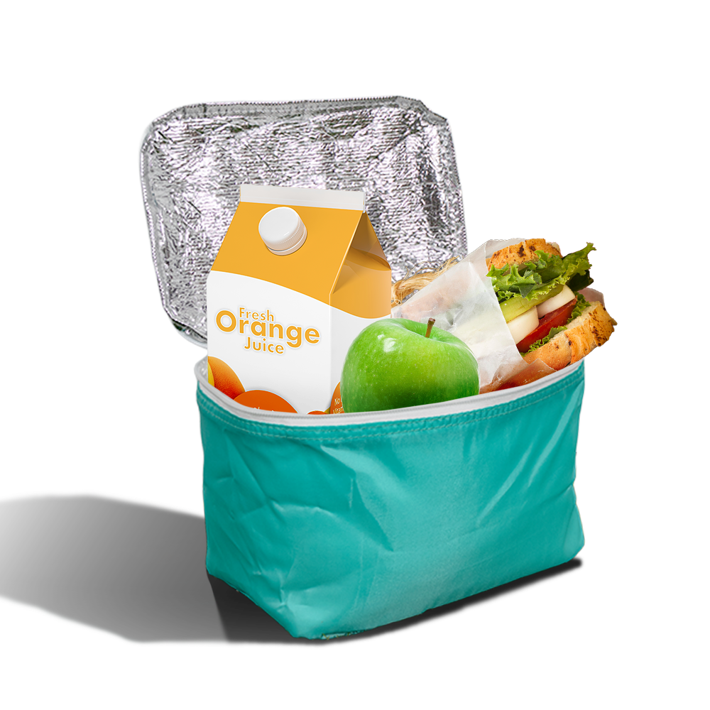 PX23 - Small Reusable Insulated Cooler Bag | Flat-Pack, 4kg Capacity