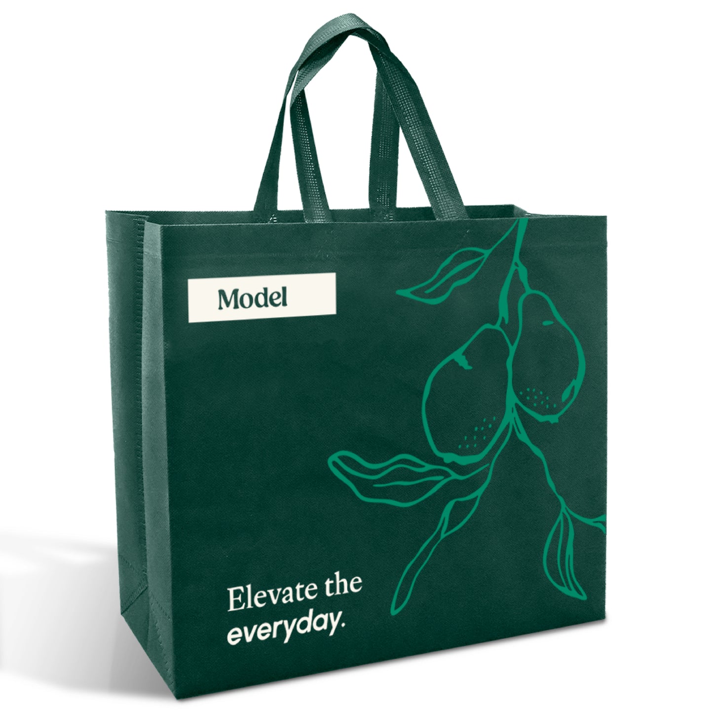 SHOP39 - Medium Reusable Non-Woven Shopping Bag | 70GSM, 18L