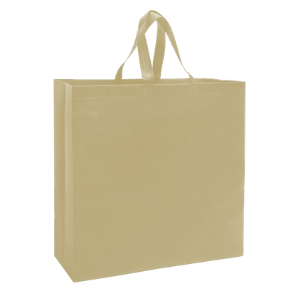 SHOP39 - Medium Reusable Non-Woven Shopping Bag | 70GSM, 18L