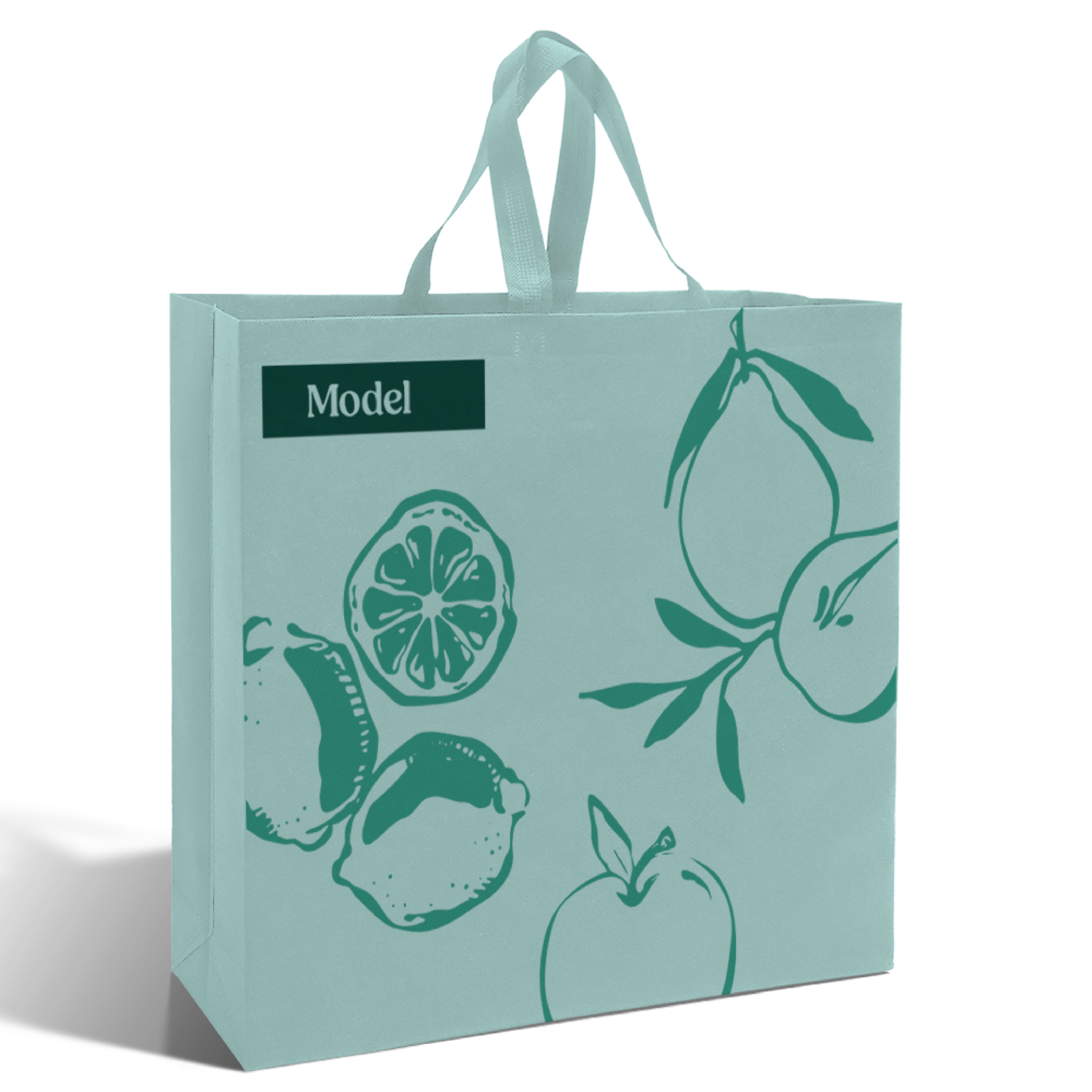 SHOP48 - XL Reusable Non-Woven Shopping Bag | 70GSM, 30L
