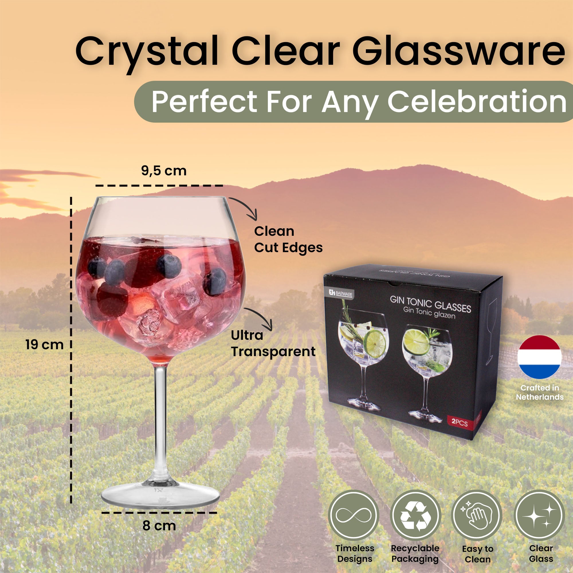 Set of 2 Premium 650ml Gin Cocktail Glasses - Perfect for Gin & Tonic