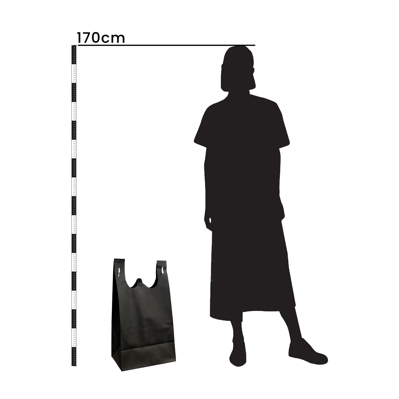 BSH01 - Reusable Non-Woven Takeaway Bag | 50GSM, 25L