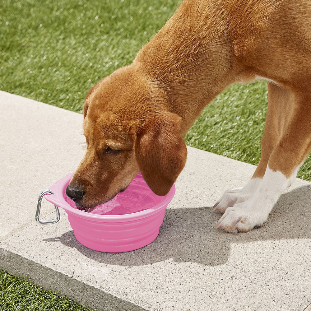 Pet Bowl - Silicone - Flatpack Design