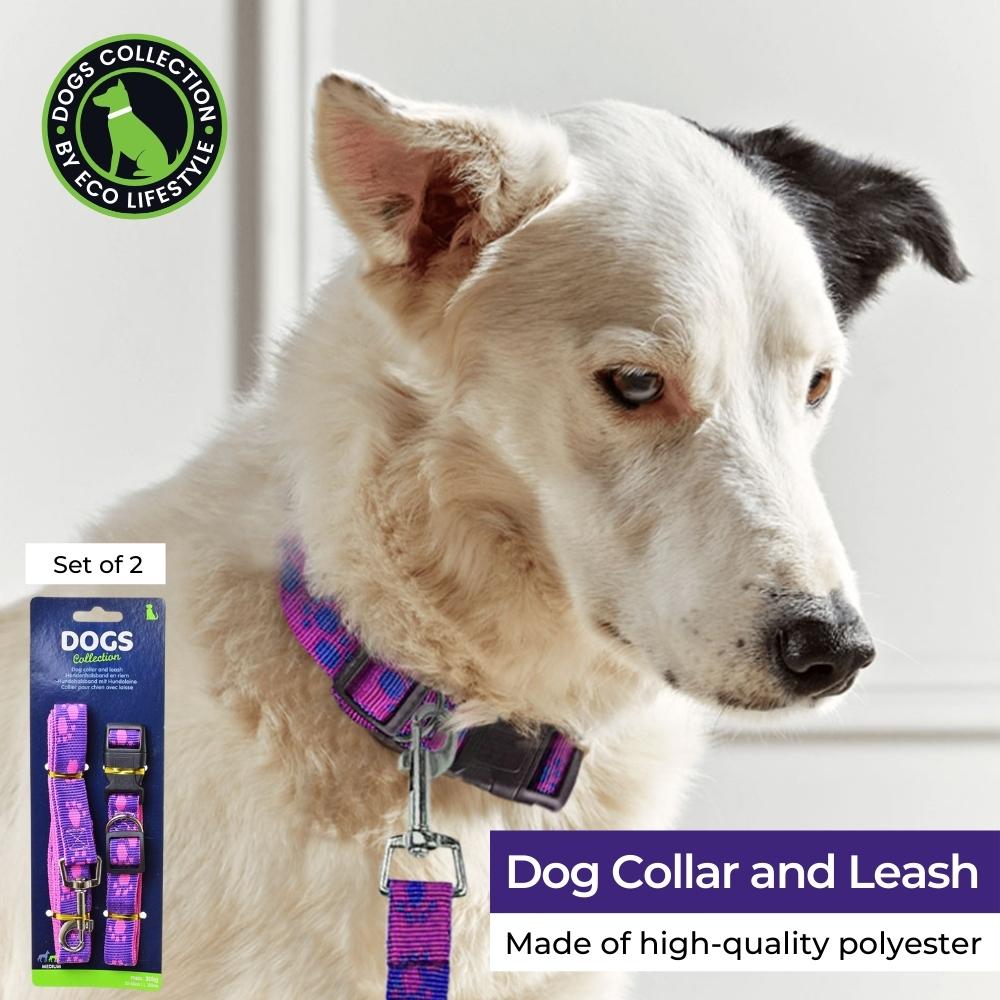 Dog Collar and Leash