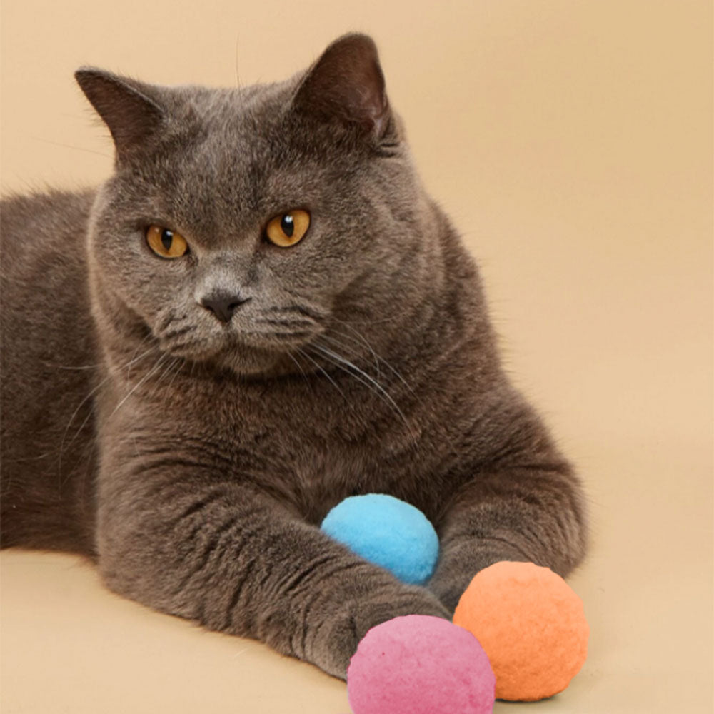 Cat Toy Value Pack - Set of 12 Toys