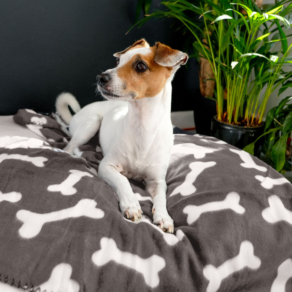Dog Fleece Blanket - 150cm