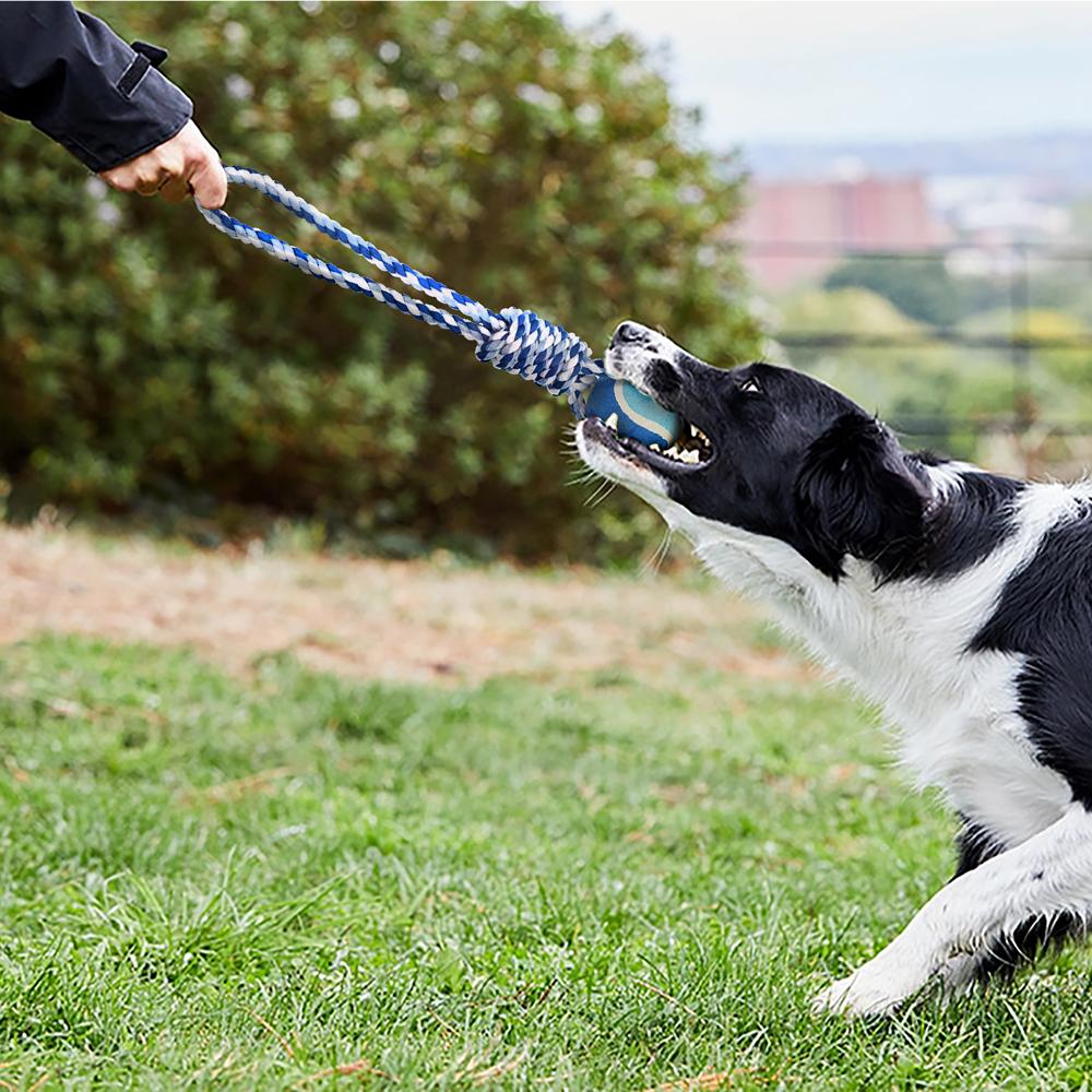 Dog Toy Rope with Handle & Tennis Ball - 32cm