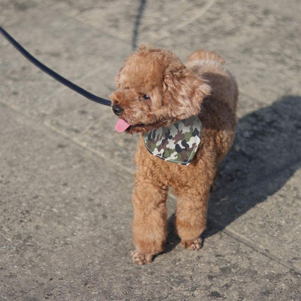 Pet Fabric Collar with Adjustable Collar