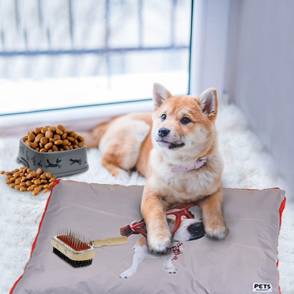 Pets Pillow Bed
